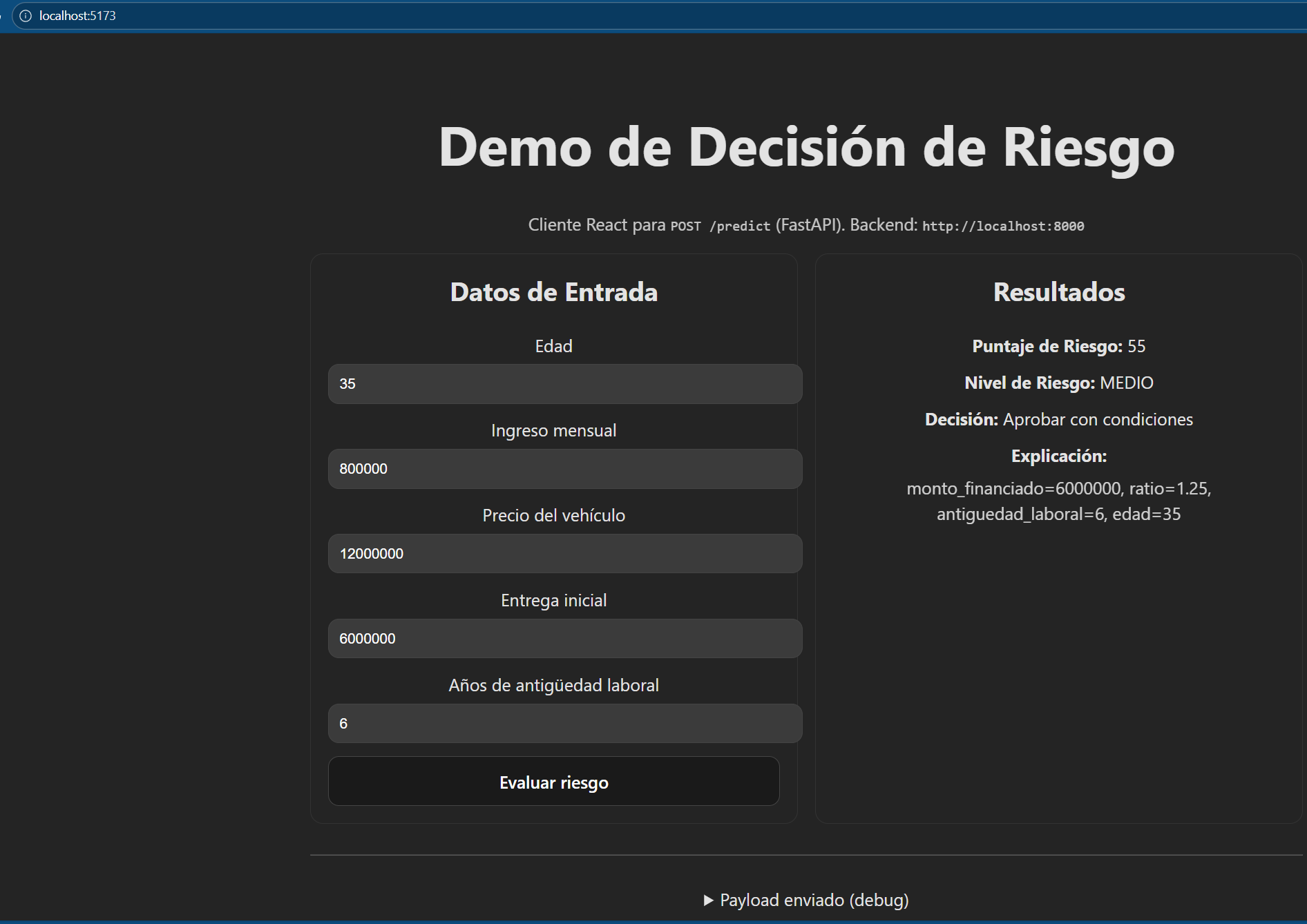 AI Risk Decision Demo